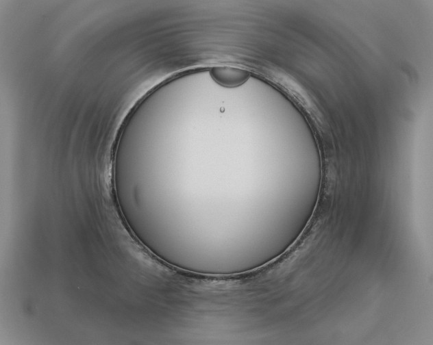 X0000112721284200909101439