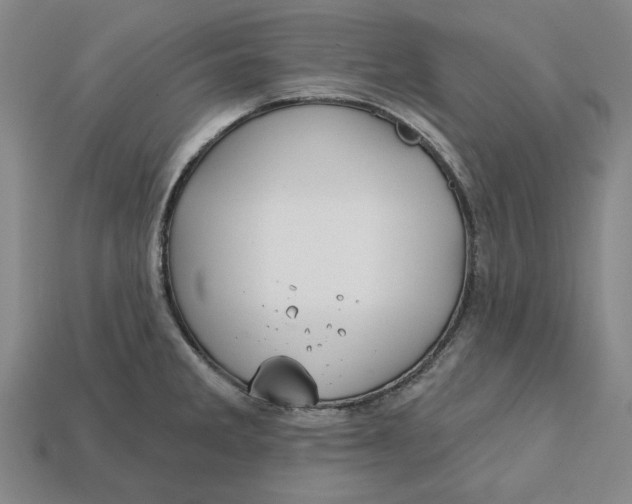 X0000112721285200909101439