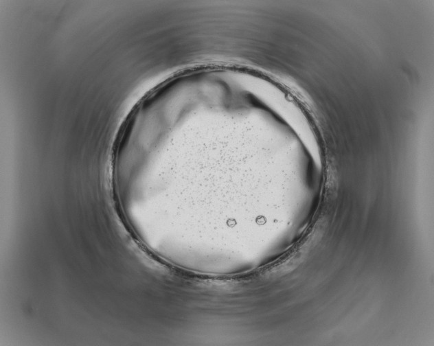 X0000112721287200909101439