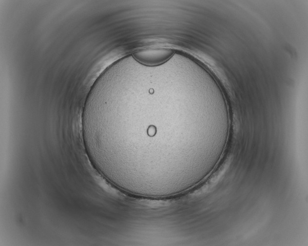 X0000112721289200909101439