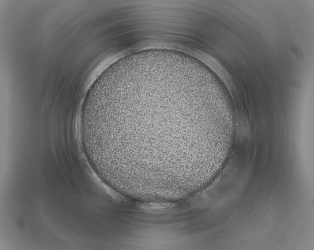 X0000112721290200909101439