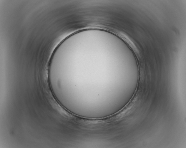 X0000112721292200909101439