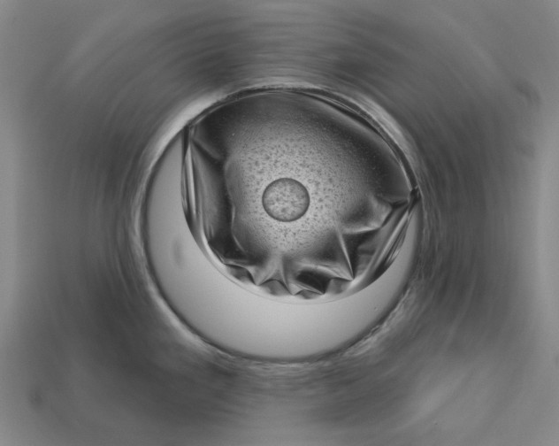 X0000112721293200909101439