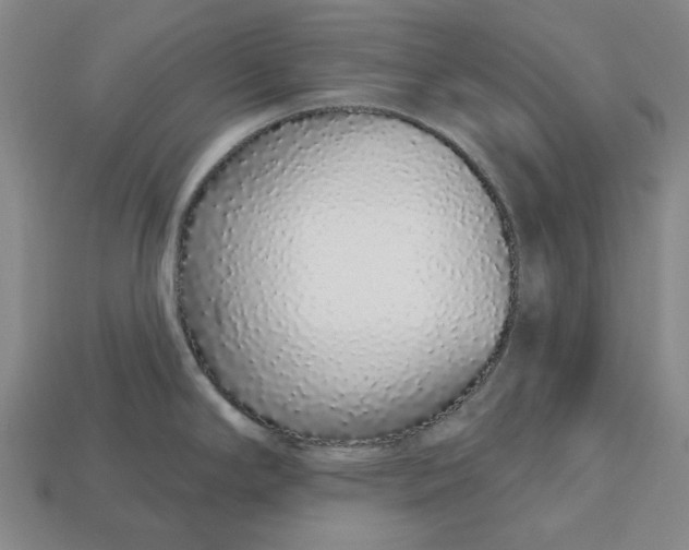 X0000112721294200909101439