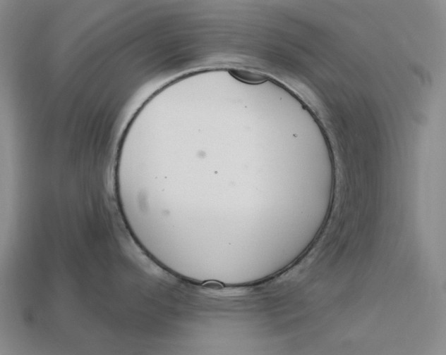 X0000112721296200909101439