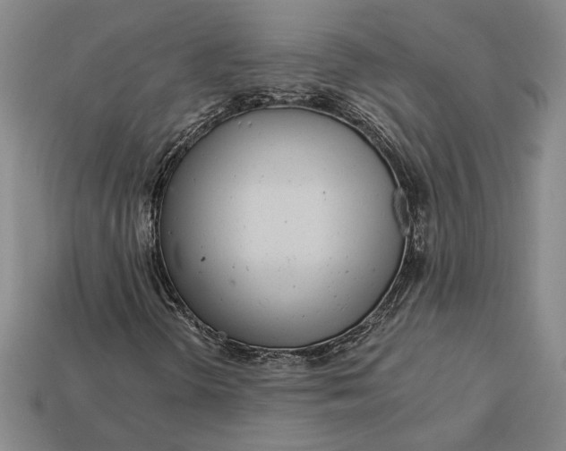 X0000112721298200909101438