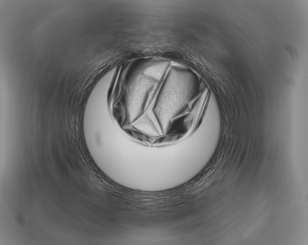 X0000112721300200909101438