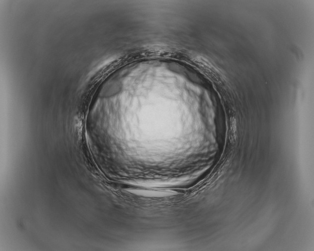 X0000112721302200909101438