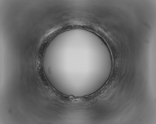 X0000112721303200909101438