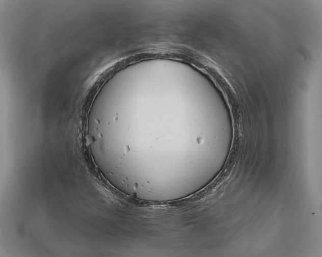 X0000112721304200909101438