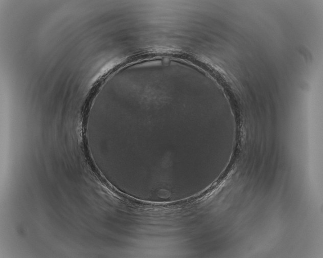 X0000112721306200909101438