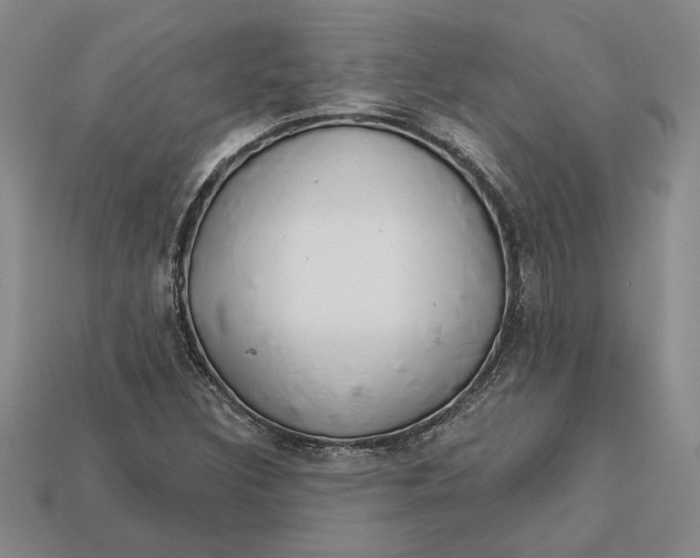 X0000112721308200909101438