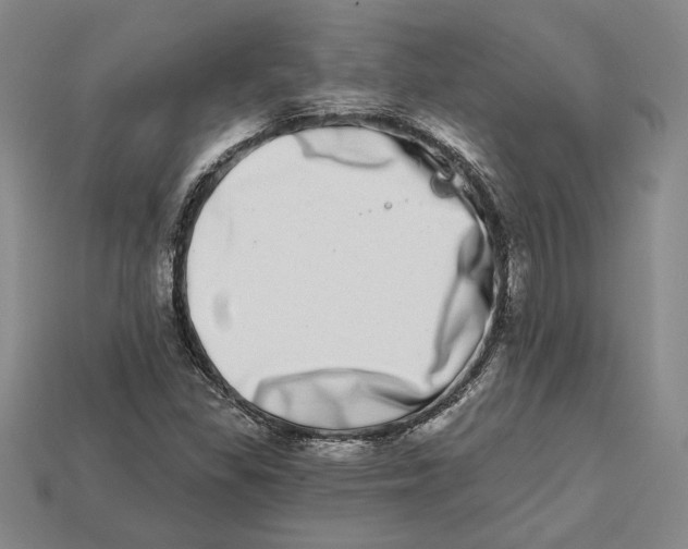 X0000112721309200909101438