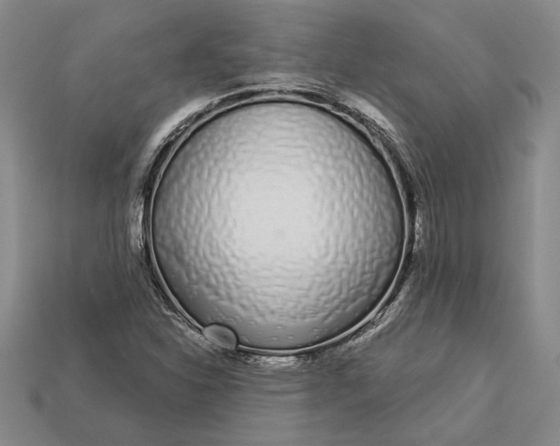 X0000112721310200909101438