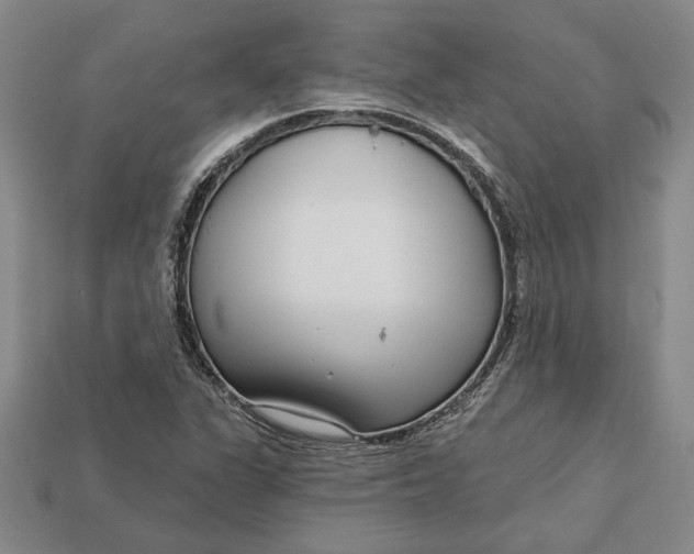 X0000112721311200909101438