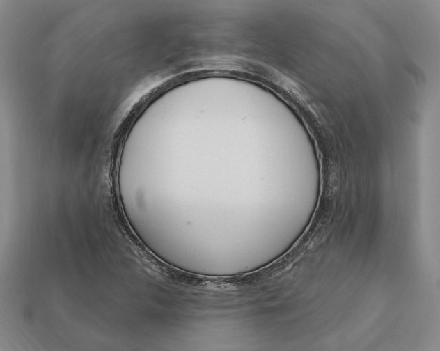 X0000112721312200909101438