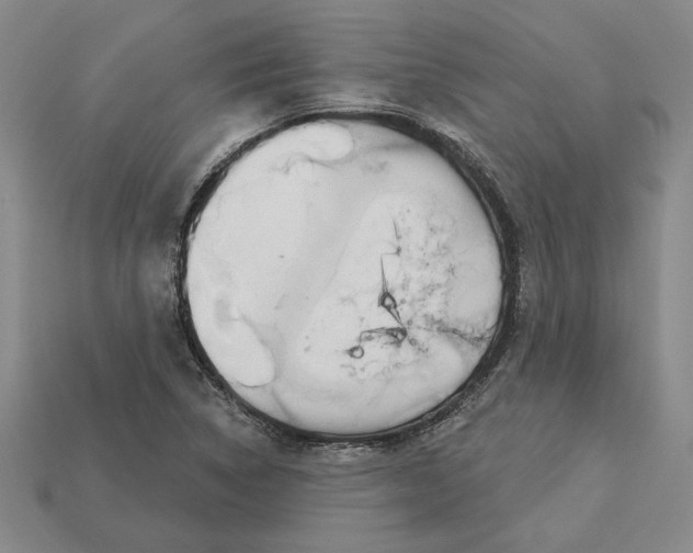 X0000112721314200909101438