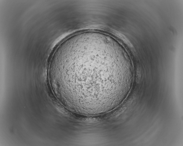 X0000112721316200909101438