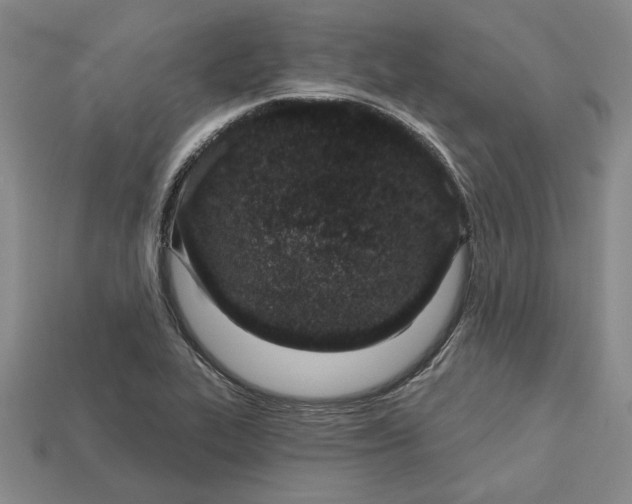 X0000112721319200909101438