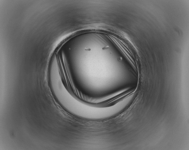 X0000112721320200909101438