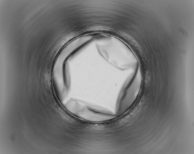 X0000112721321200909101438