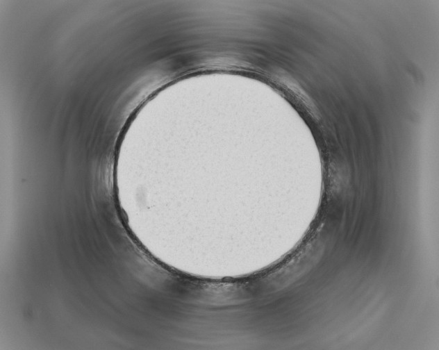 X0000112721322200909101438