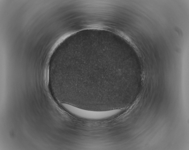 X0000112721323200909101438