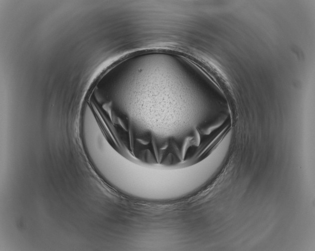 X0000112721324200909101438