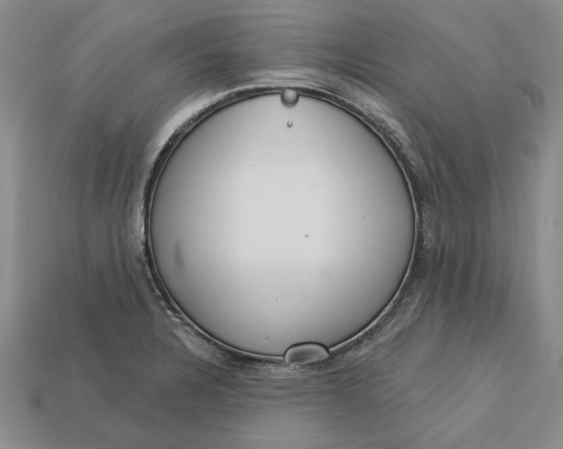 X0000112721328200909101438