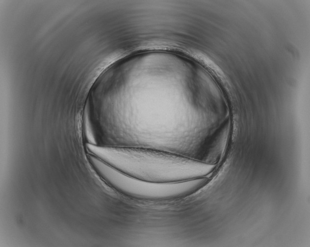 X0000112721329200909101438