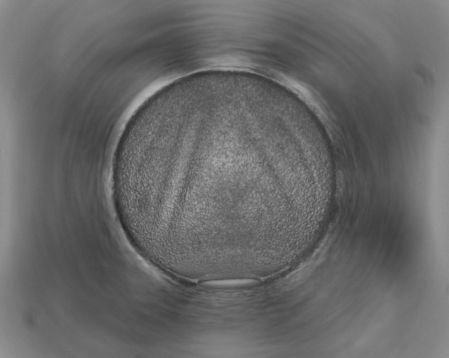 X0000112721331200909101438