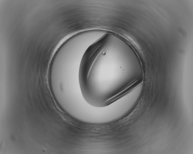 X0000112721332200909101438