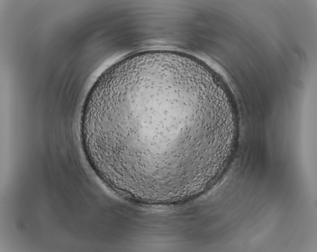 X0000112721333200909101438