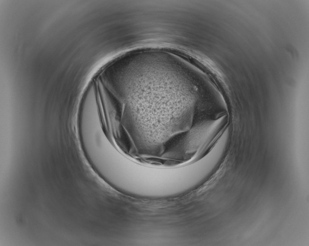 X0000112721334200909101438