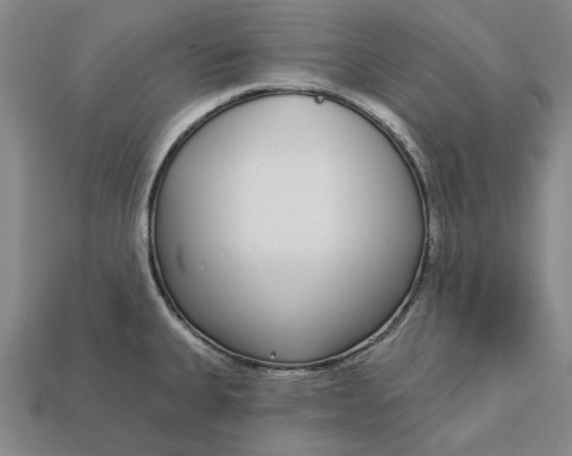 X0000112721335200909101438