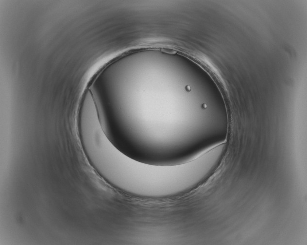 X0000112721336200909101438