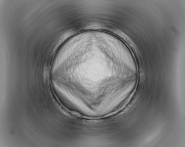 X0000112721337200909101439