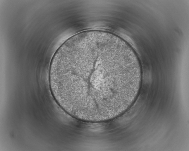 X0000112721338200909101439