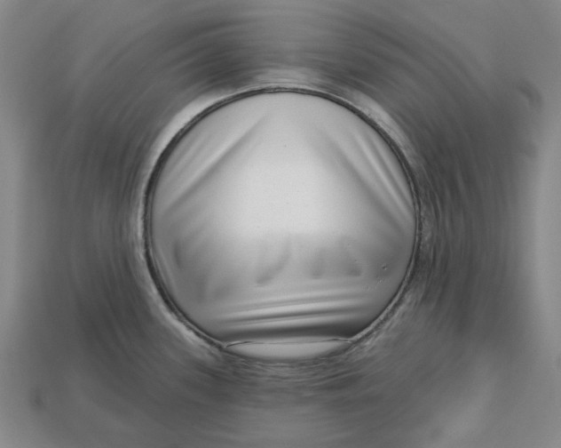 X0000112721339200909101439