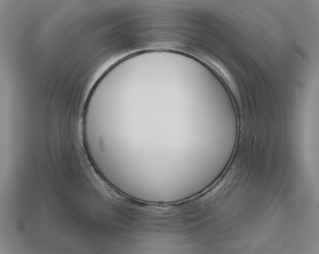 X0000112721340200909101439