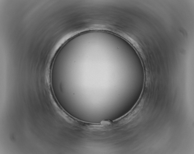 X0000112721342200909101439