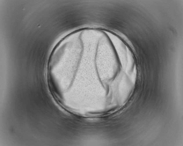 X0000112721343200909101439