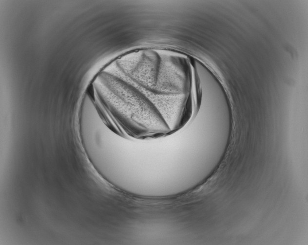 X0000112721344200909101439