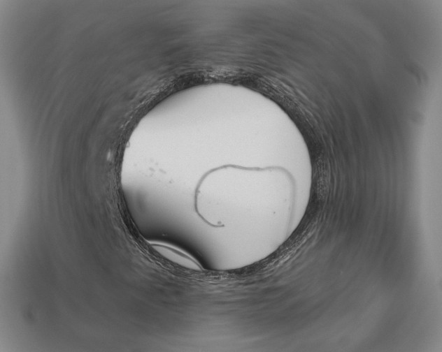 X0000112721345200909101438