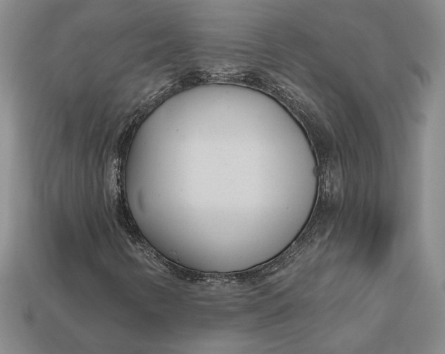 X0000112721346200909101438