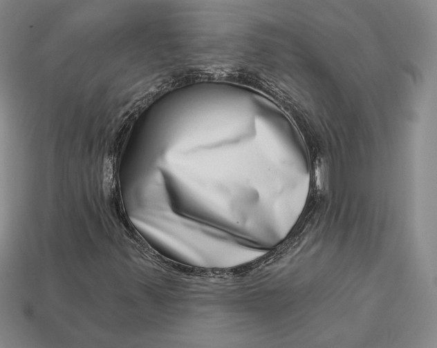 X0000112721347200909101438