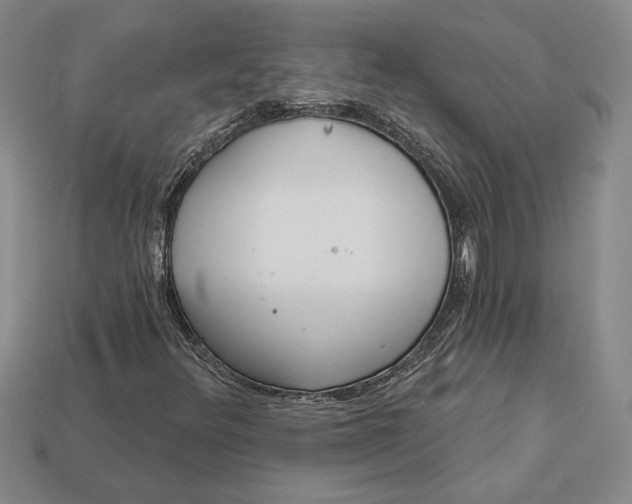 X0000112721348200909101438