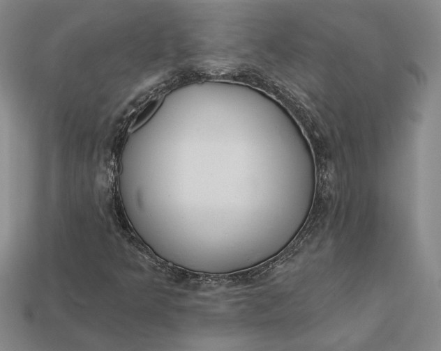 X0000112721349200909101438