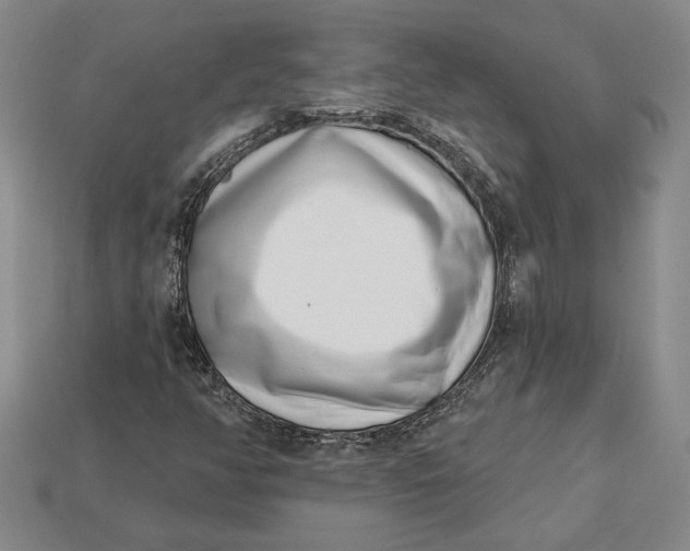 X0000112721350200909101438