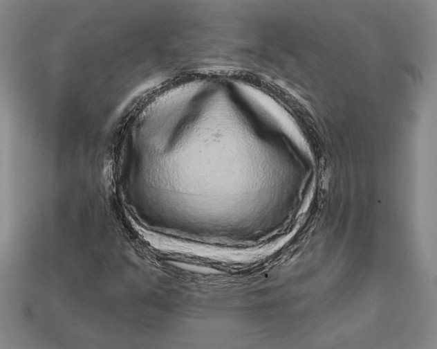 X0000112721351200909101438